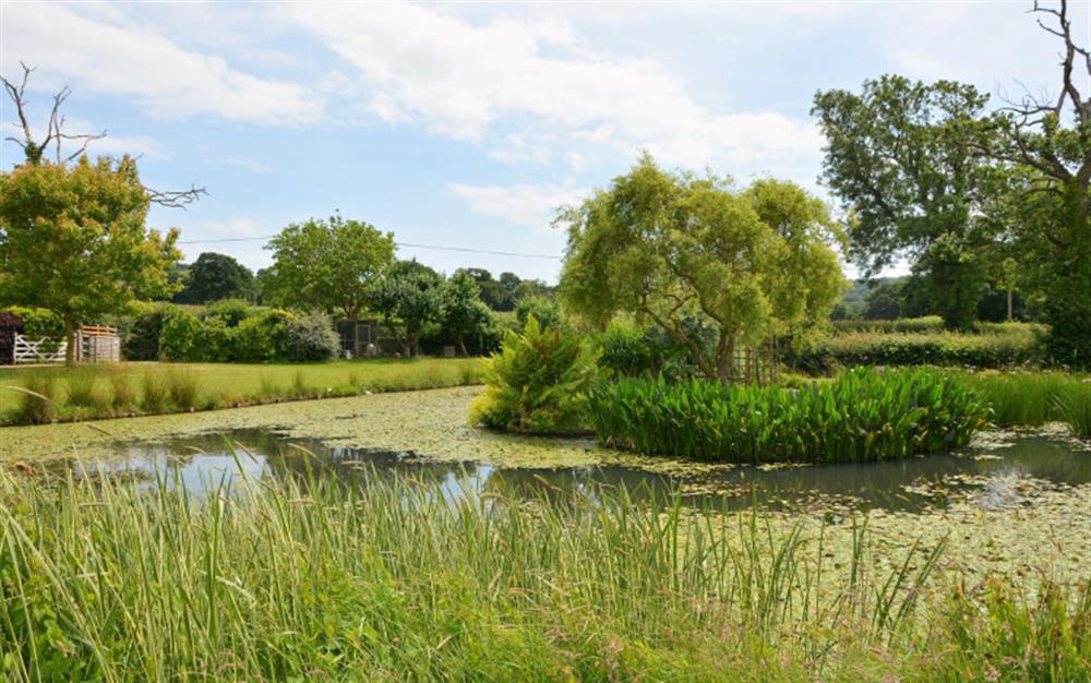 The lake in the grounds is home to an abundance of wildlife at Dairy Cottage in Whitchurch Canonicorum