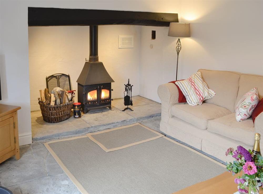 Comfortable living room with cosy wood burner at Dairy House Farm in Bickenhall, near Taunton, Somerset