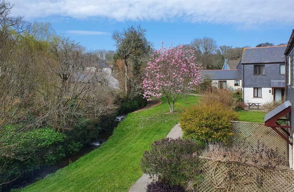 Garden and grounds (photo 2) at Daisy Cottage in Falmouth, Cornwall
