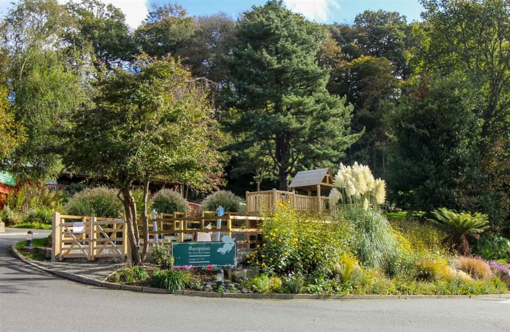 Garden and grounds (photo 4) at Daisy Cottage in Falmouth, Cornwall