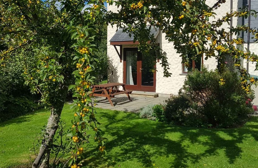 Garden and grounds at Daisy Cottage in Falmouth, Cornwall