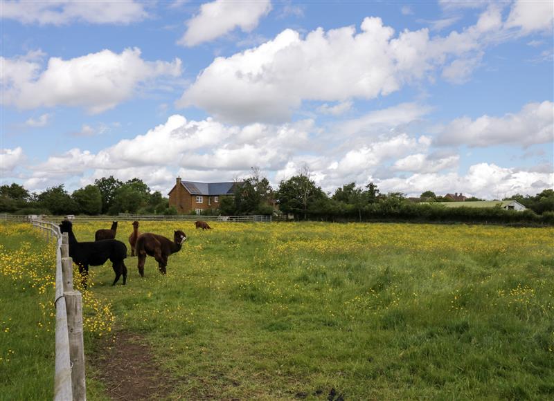 The setting of Daisy Cottage