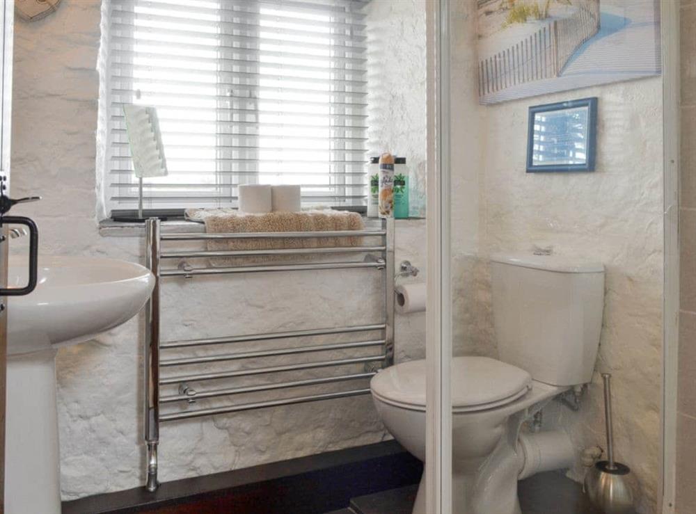 Shower room with heated towel rail at Daisy Cottage in Pwllheli, Gwynedd
