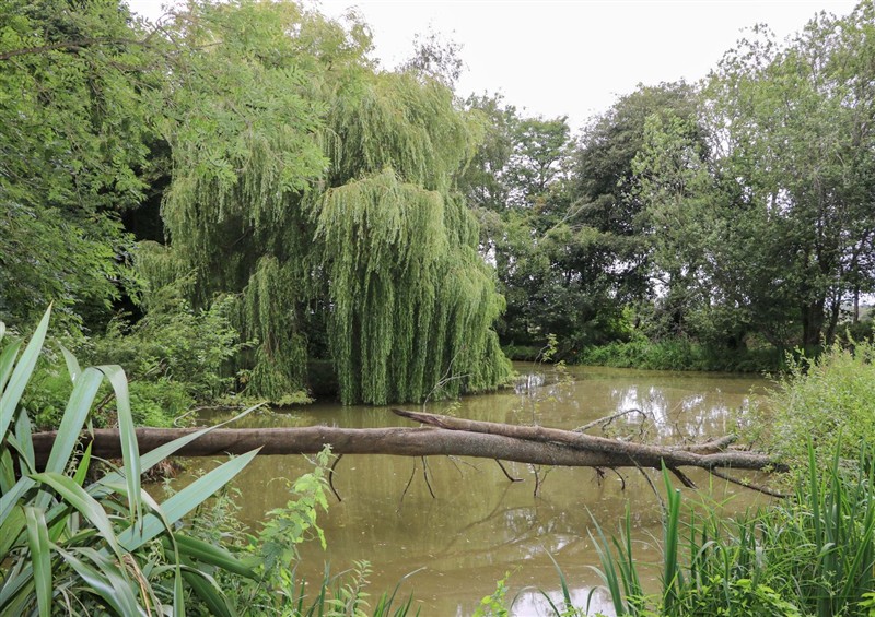 The area around Daisy Cottage at Daisy Cottage, Stone Cross