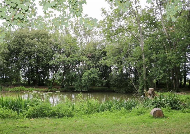 The garden at Daisy Cottage, Stone Cross