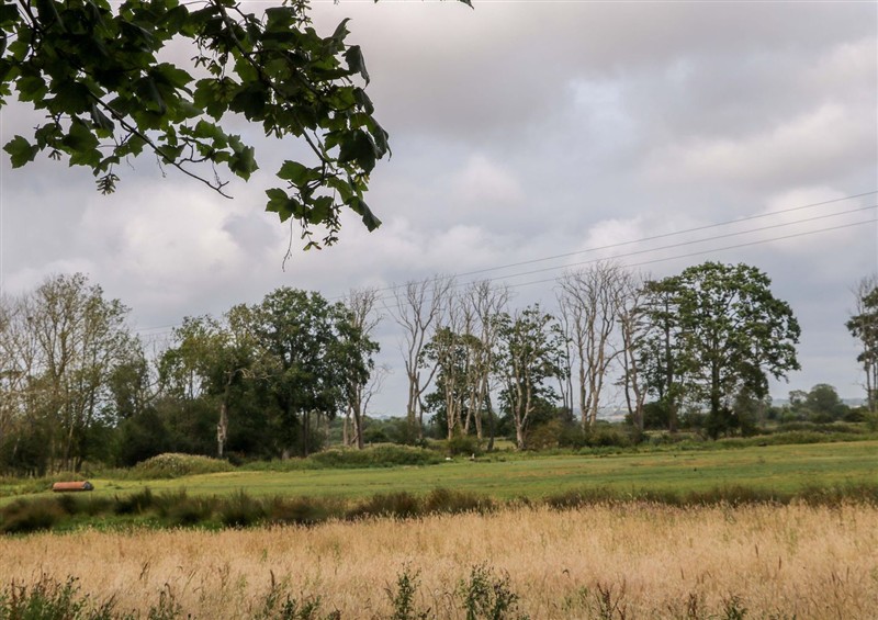 This is the garden (photo 2) at Daisy Cottage, Stone Cross