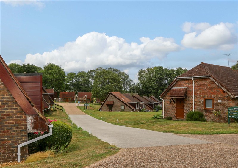 This is the garden at Daisy Cottage, Stone Cross