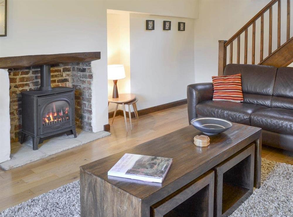 Cosy, gas coal fire in living room at Daisy Cottage in Thornton-le-Dale, N. Yorks., North Yorkshire