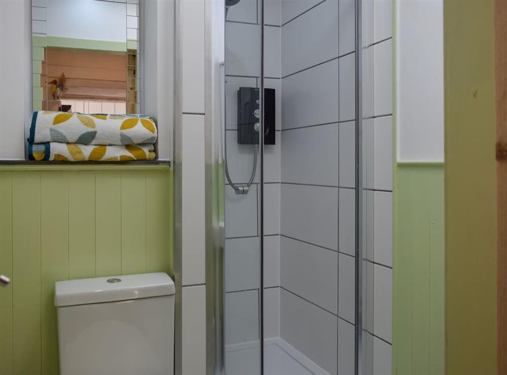 Shower room at Daisybank Cottage in Crieff, Perthshire