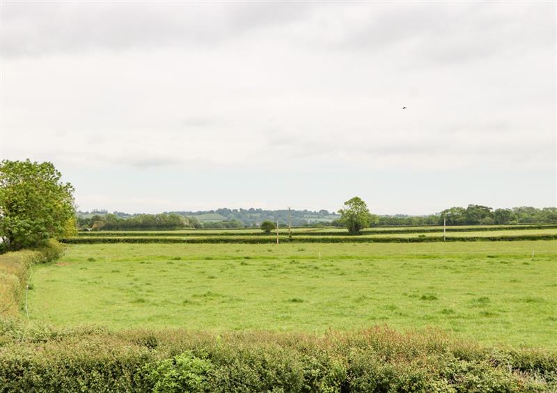 Rural landscape at Dalegarth, Ilton near Ilminster