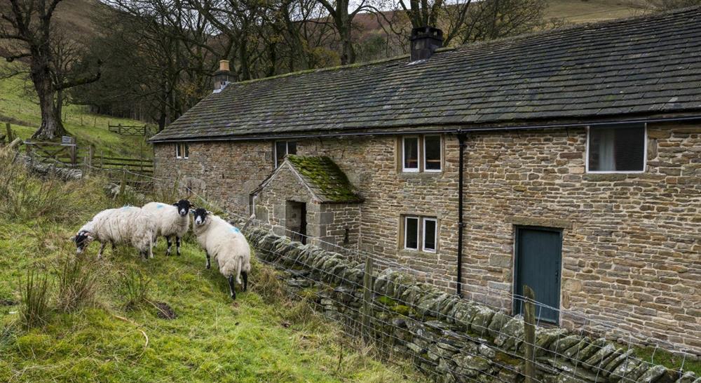 Dalehead Bunkhouse, Peak District at Dalehead Bunkhouse in Hope Valley, Derbyshire