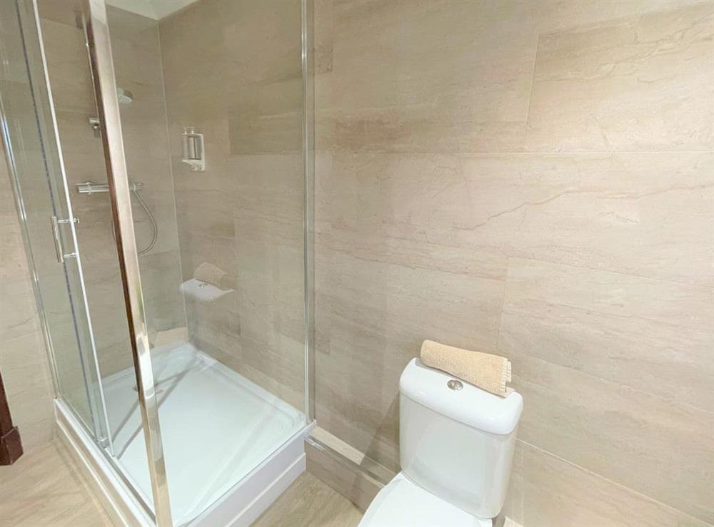 Shower room at Dalgarven Spa House in Kilwinning, near Ayr, Ayrshire