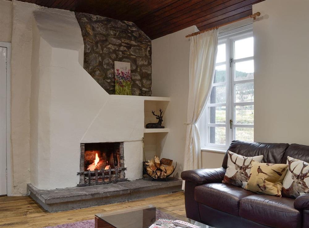 Cosy living room with open fire at Tower Cottage, 