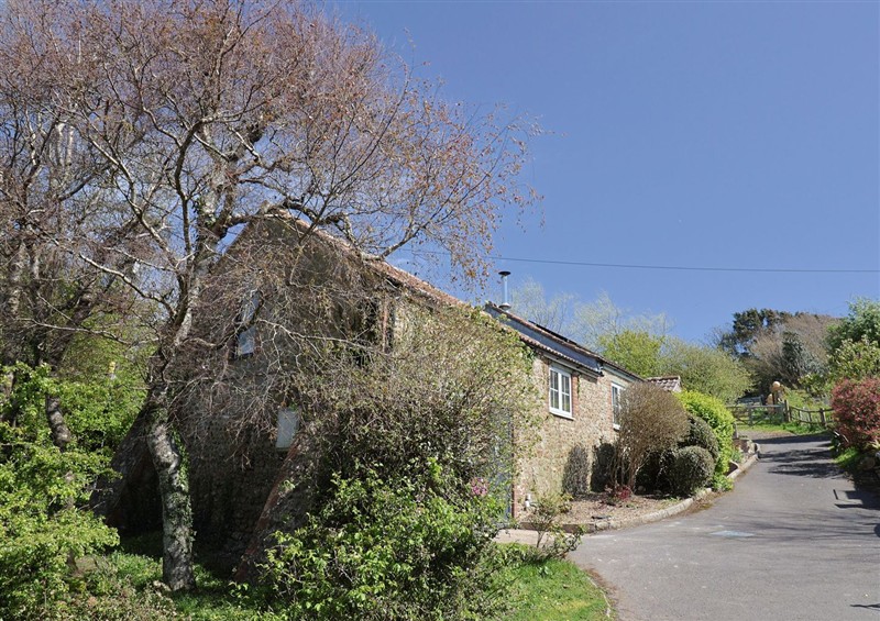 Outside Damson Tree Cottage at Damson Tree Cottage, Charmouth