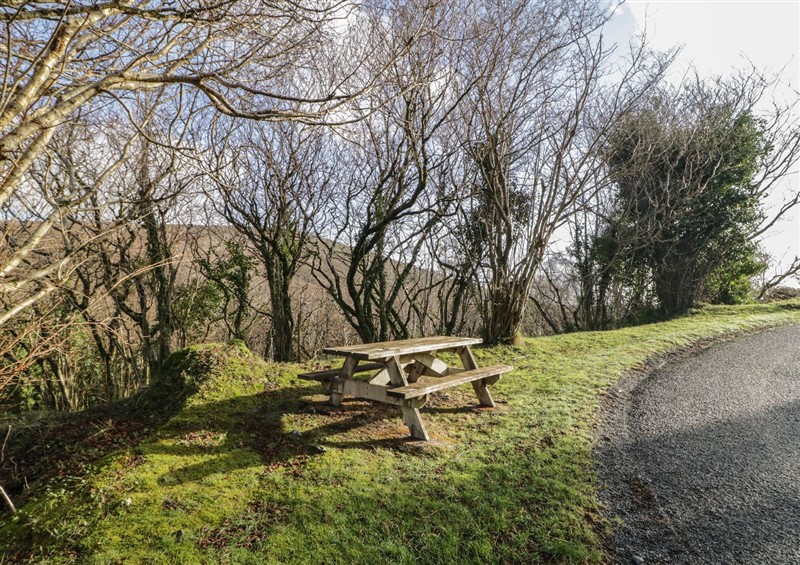 The garden in Dan White's Cottage at Dan Whites Cottage, near Rostrevor