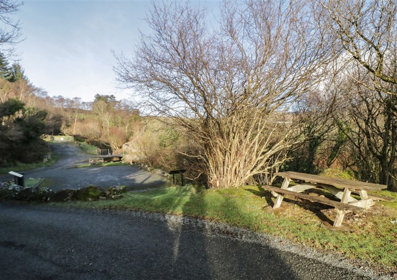 This is the garden at Dan Whites Cottage, near Rostrevor