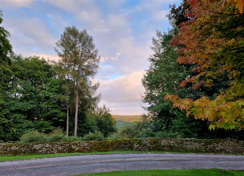 Rural landscape