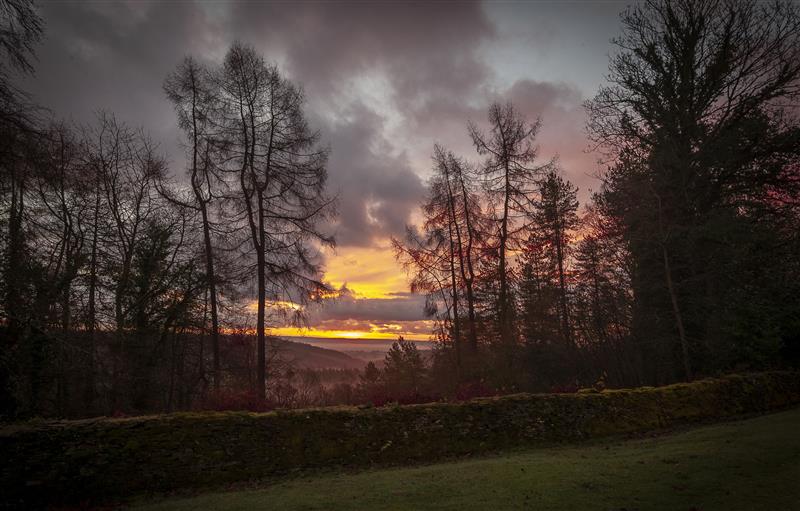 Rural landscape