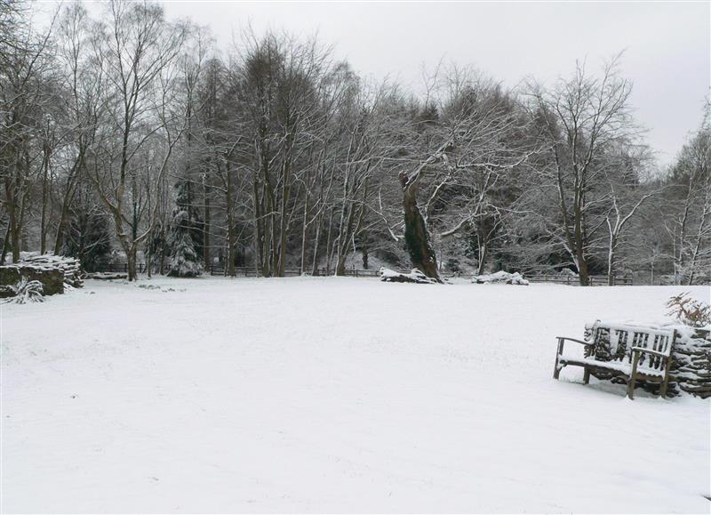 The area around Danby Lodge