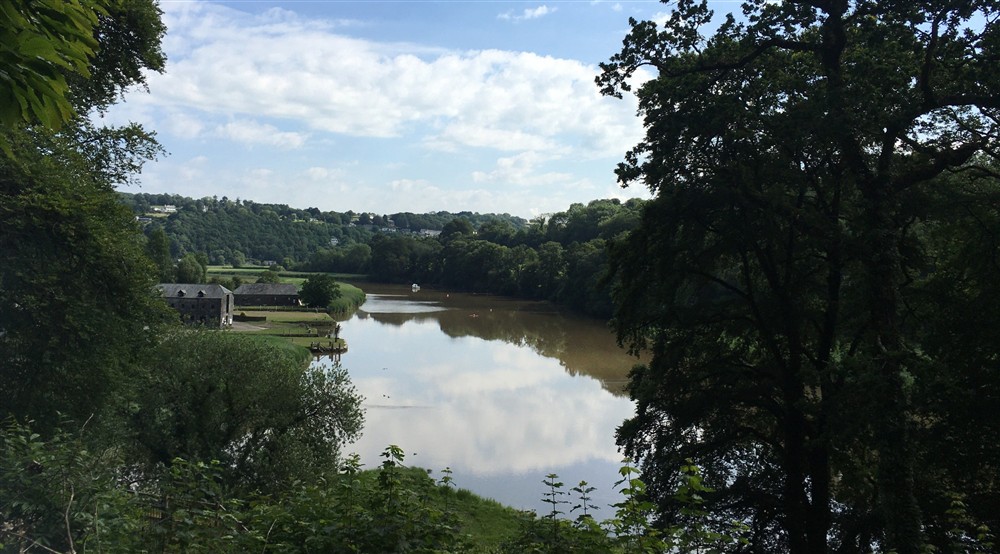View of distant buildings beside calm river, seen from high up through tree foliage at Danescombe Cottage in Calstock, Cornwall
