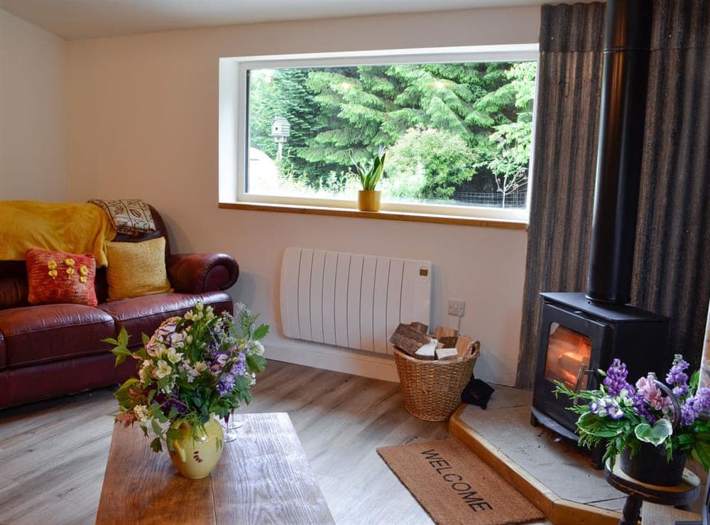 Living room with wood burner (photo 3) at Dark Sky Lodge in near Trecastle, Brecon, Powys