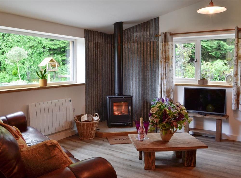 Living room with wood burner at Dark Sky Lodge in near Trecastle, Brecon, Powys