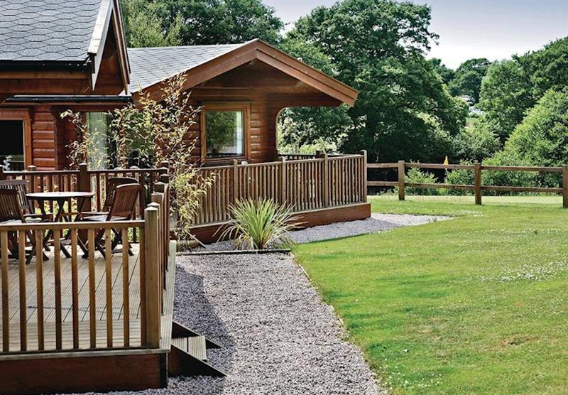 The park setting at Dartmoor Edge Lodges in Devon, South West of England