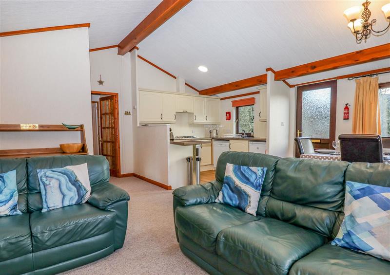 Enjoy the living room (photo 2) at Dartmoor Retreat Lodge, Clifford Bridge near Moretonhampstead