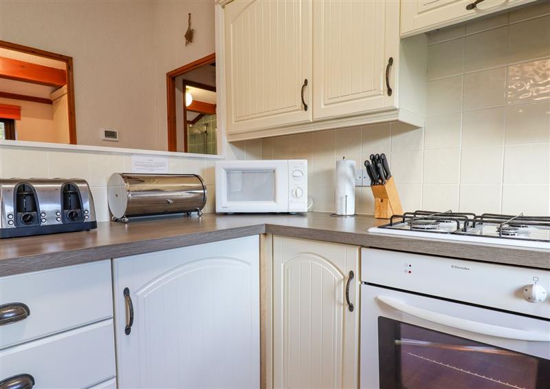 Kitchen at Dartmoor Retreat Lodge, Clifford Bridge near Moretonhampstead