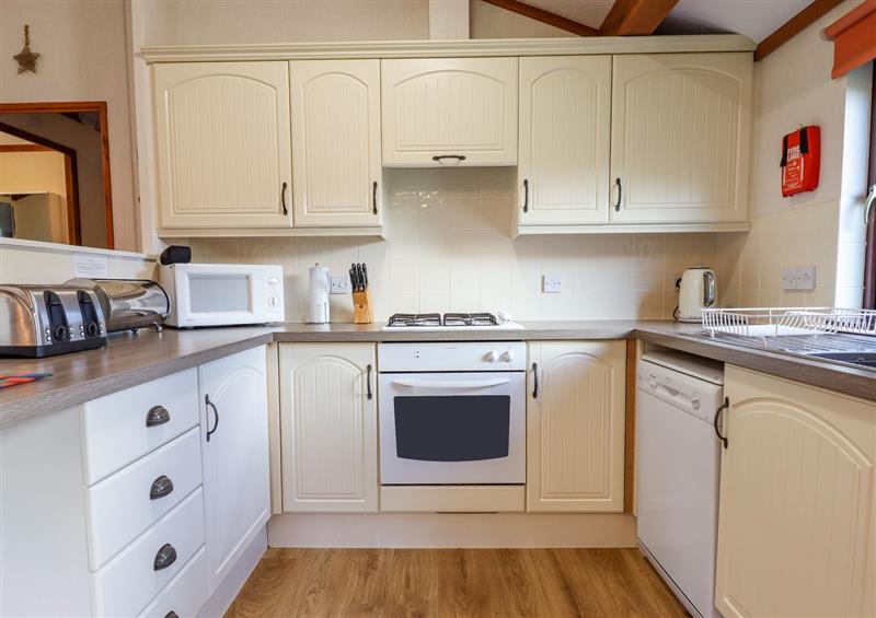 The kitchen (photo 2) at Dartmoor Retreat Lodge, Clifford Bridge near Moretonhampstead