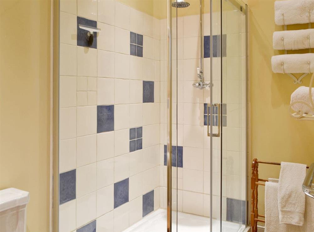 Shower room at Darwin Cottage in Polegate, East Sussex