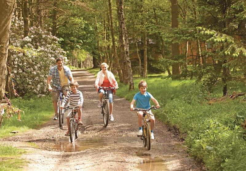 Cycle hire at Darwin Forest Country Park in Derbyshire, Heart of England