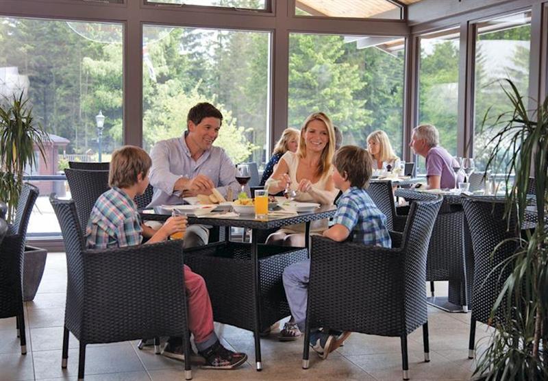 Enjoy a meal at Foresters at Darwin Forest Country Park in Derbyshire, Heart of England