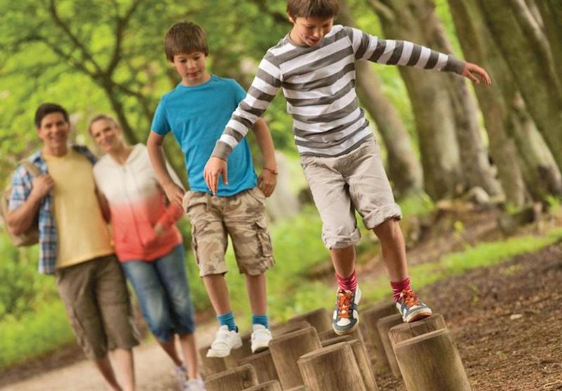 Experience the Trim Trak obstacles at Darwin Forest Country Park in Derbyshire, Heart of England
