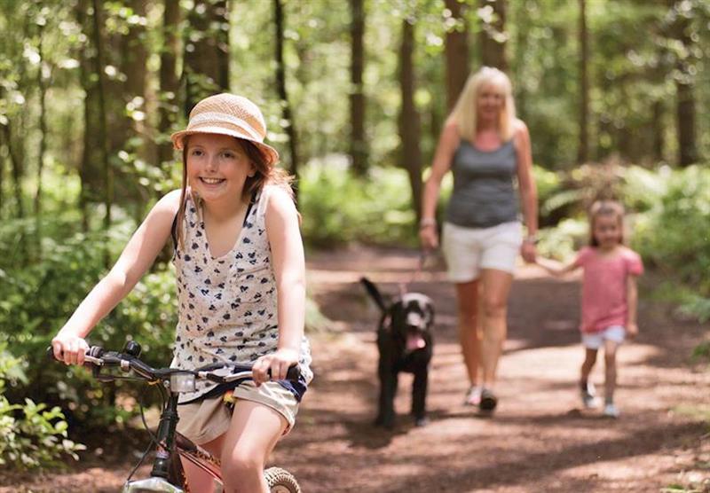 Explore the woodland walks at Darwin Forest Country Park in Derbyshire, Heart of England