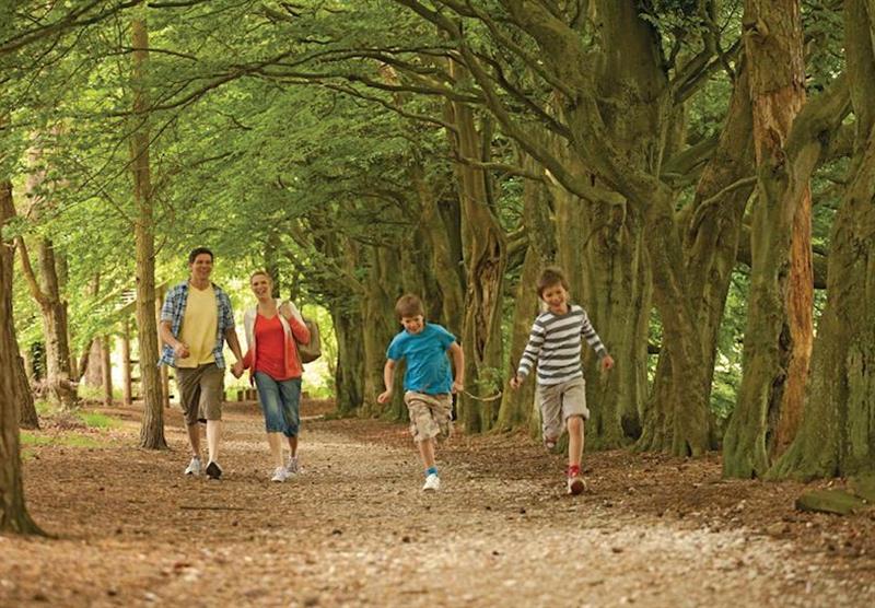 Woodland walks at Darwin Forest Country Park in Derbyshire, Heart of England