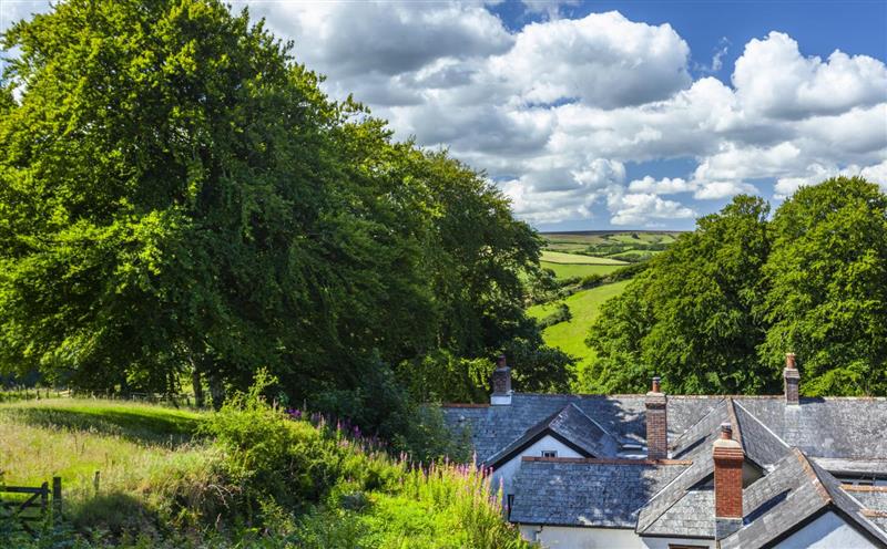 The setting around Dashel Cottage