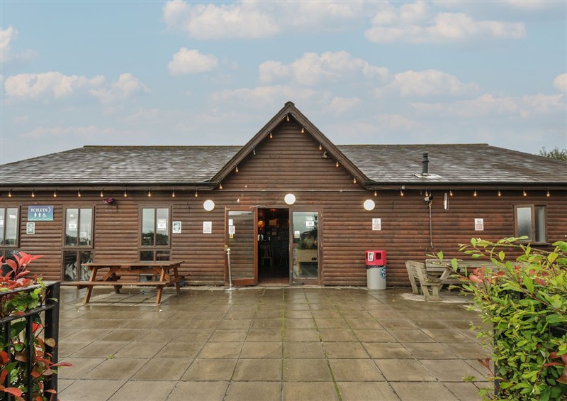 Outside at Dashing Dennis - 22, Chapmanswell near Launceston