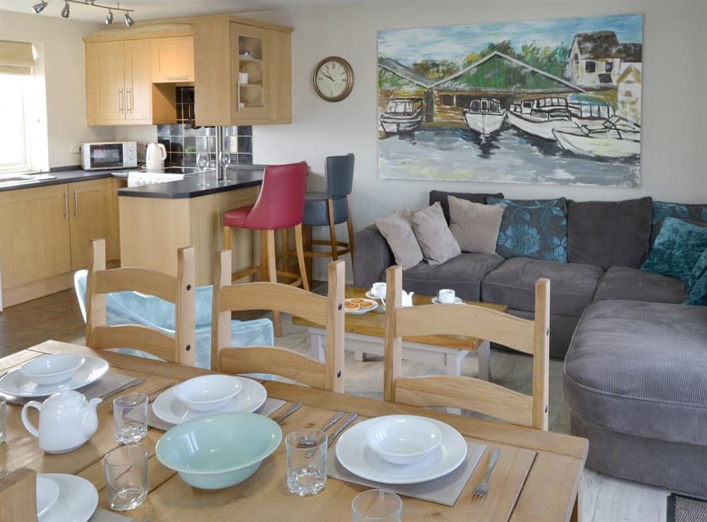 Open plan living space at Davids Island in Wroxham, Norfolk