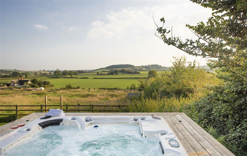 There is a swimming pool at Decoy Farm House, Somerset