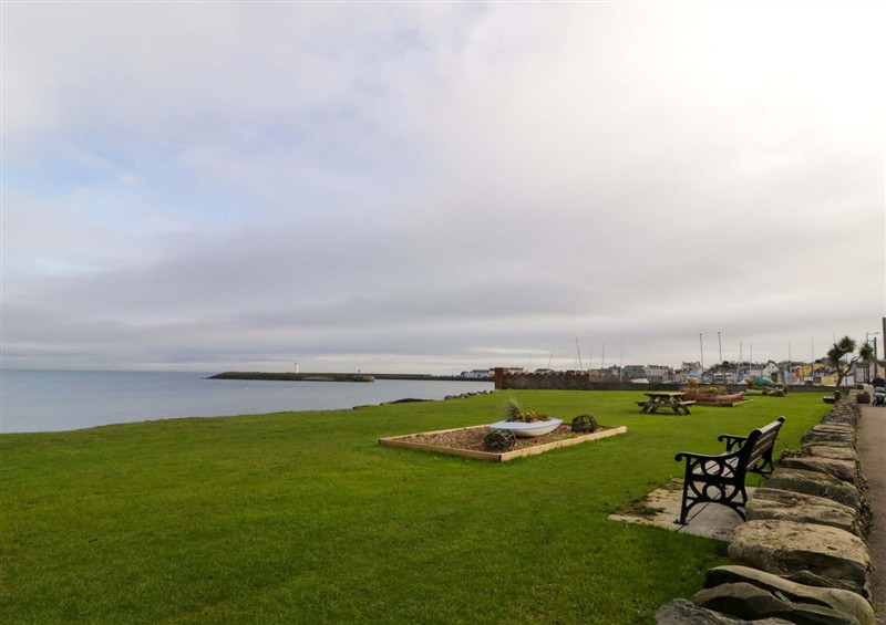 This is the garden at Dee by the Sea, Donaghadee