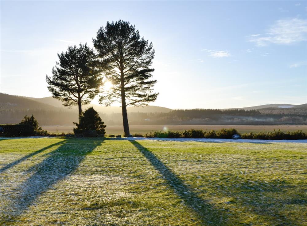 Garden and grounds at Dee View in Aboyne, Aberdeenshire