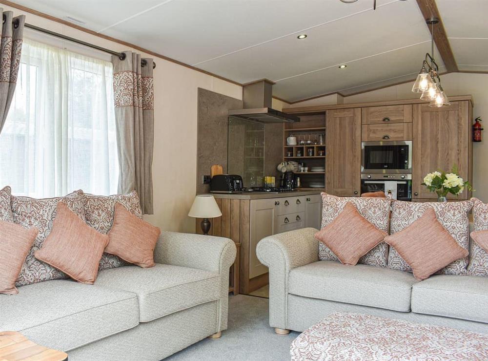 Living area at Deer Glade Lodge in Landford, Wiltshire