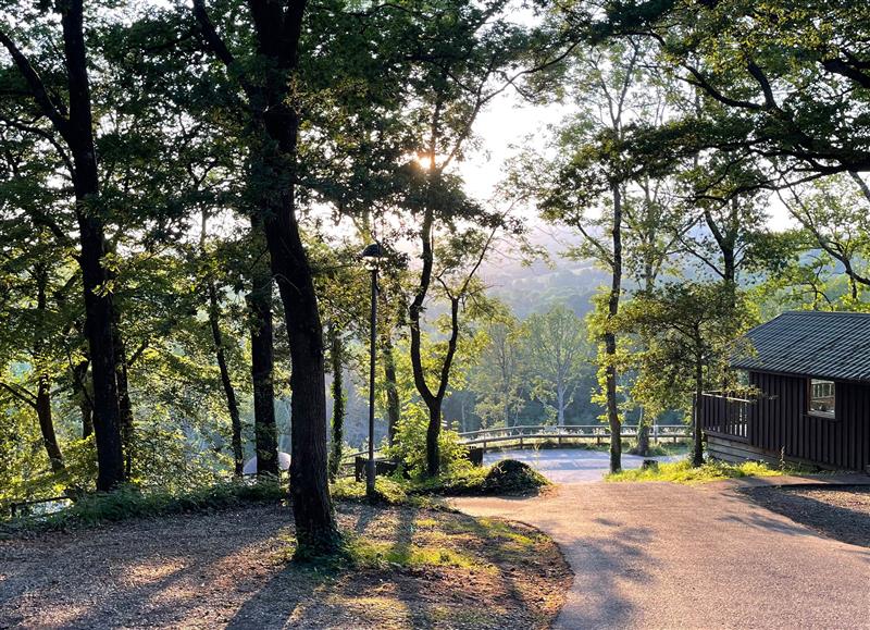 The setting of Deer Park Lodge 8 - Fawn Lodge