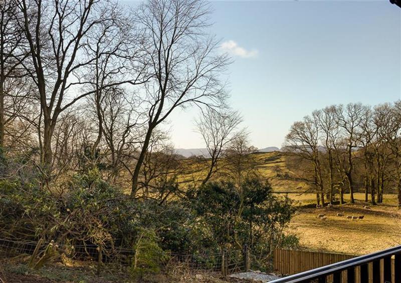 The setting around Deer Wood At Applethwaite Hall