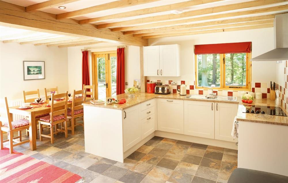 Open plan kitchen, dining and sitting room at Deerpark Lodge, Staunton Harold