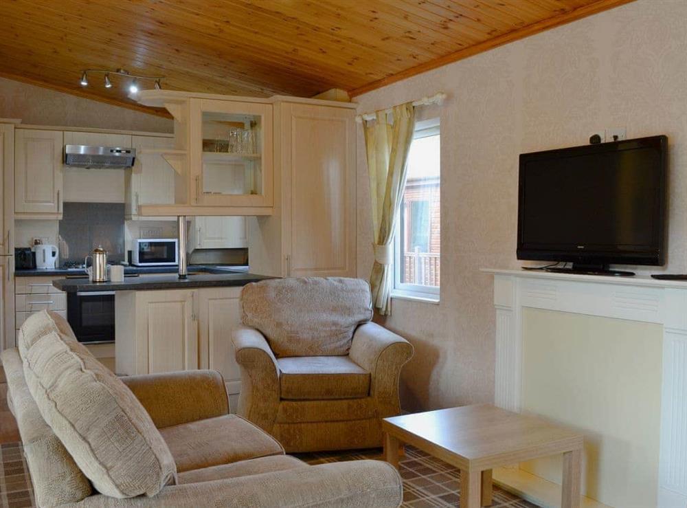 Open plan living space at Deeside Woodland Lodges- Lodge A in Dinnet, near Ballater, Aberdeenshire