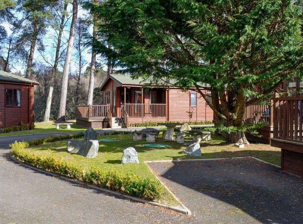 Setting (photo 3) at Deeside Woodland Lodges- Lodge A in Dinnet, near Ballater, Aberdeenshire
