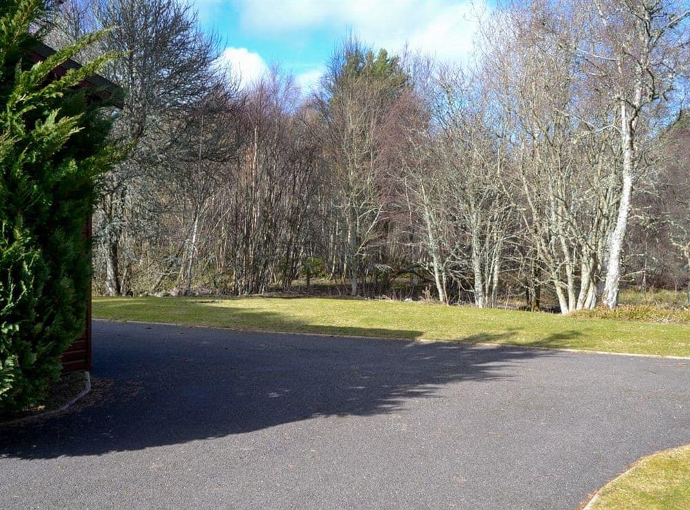 Setting (photo 5) at Deeside Woodland Lodges- Lodge A in Dinnet, near Ballater, Aberdeenshire