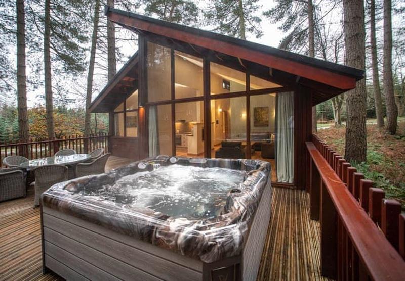Hot tub in the Silver Birch 3 at Delamere Forest Lodges in Fordsham, Cheshire